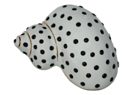 White and Black Dots Snail Pin
