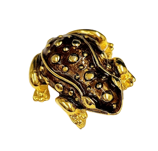Gold Dark Brown Enamel Transparent Frog Pin